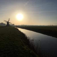 Molens in Noardeast-Fryslân in de rouwstand voor Oane Visser